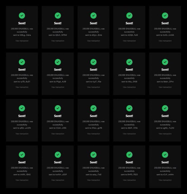 A grid of transaction confirmation screens on a dark background, each displaying a green checkmark and 'Sent! 250,000 $NAKEBULL was successfully sent' to various alphanumeric wallet addresses.