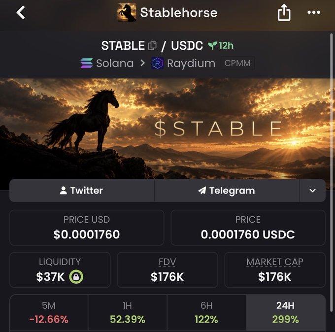 A cryptocurrency token page for 'Stablehorse' (STABLE/USDC) on Solana via Raydium, showing a price of $0.0001760 USD, $37K liquidity, $176K FDV and market cap, with performance metrics of -12.66% (5M), 52.39% (1H), 122% (6H), and 299% (24H).