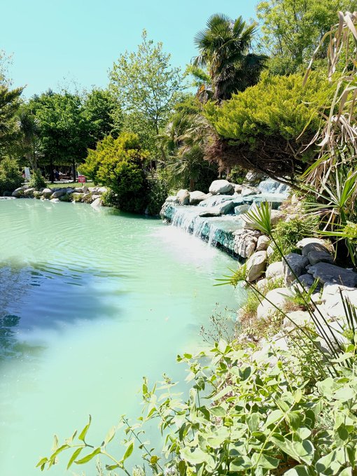 The image shows a beautiful scene of a pond surrounded by lush greenery, including trees and bushes. The water in the pond has a greenish hue, adding to the overall serene atmosphere. In the background, there are rocks that contribute to the natural landscape. A person can be seen standing near the edge of the pond, possibly enjoying the view or taking care of the plants around it.