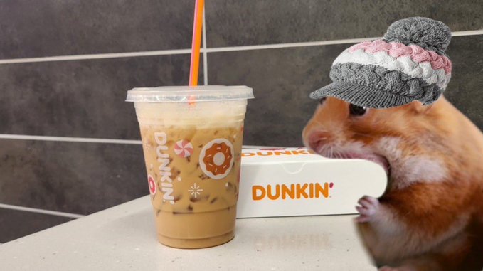 A tiny hamster wearing a knitted hat enjoys a Dunkin' iced coffee and pastry box from a quick breakfast run, perfectly capturing the cozy "gnom" vibes of the morning.