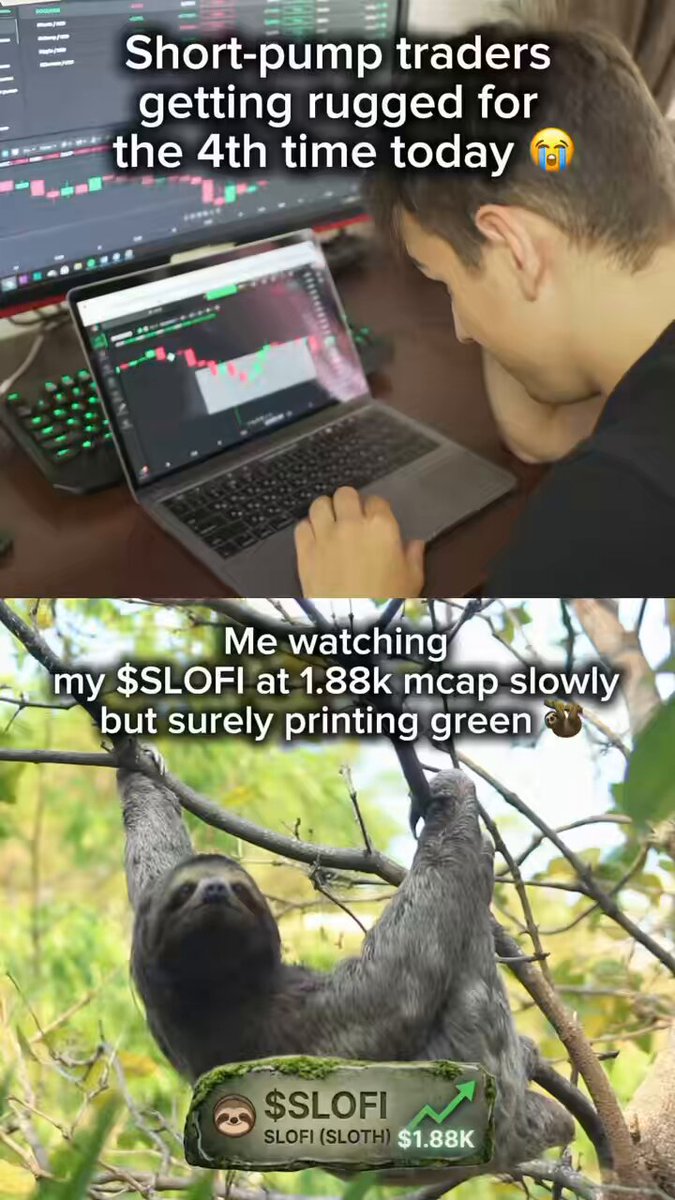 The image presents two contrasting scenes set within a social media post about trading cryptocurrencies like Bitcoin and other assets like Slofi, which has been tagged with a relevant caption. The first scene shows a man wearing a shirt working on a laptop, actively monitoring an account with $SLOFI, while the second scene depicts Slofi sitting calmly in its tree, without any signs of rushing or panic related to trading. The contrasting scenes help emphasize the message about maintaining patience and taking one's time during trading activities instead of making rash decisions driven by emotions or market fluctuations.