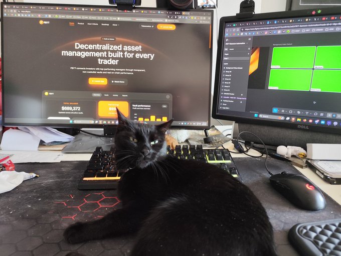 The image features a black cat sitting at a computer workspace, with two computers - one large monitor displaying a website and another smaller screen running an animated video or game. The cat appears curious as it lies near both screens, seemingly intrigued by the content displayed on each.