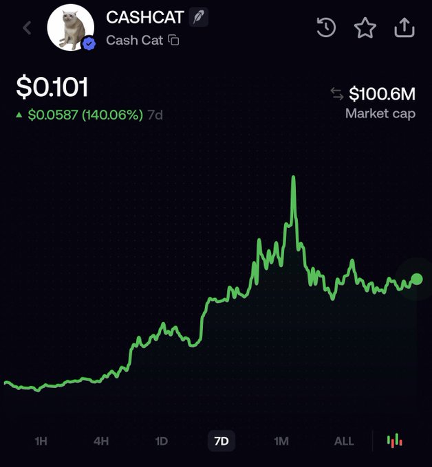 A 7-day price chart for Cash Cat (CASHCAT) showing a dramatic surge of +140.06% (up $0.0587) to $0.101 with a $100.6M market cap, illustrating the explosive momentum of meme coins launched on the Cash Cat platform. The chart's sharp peak and sustained gains visually reinforce the post's claim that coins from the Cash Cat pad with strong communities "go silly," validating the user's bullish stance on camping these launches.