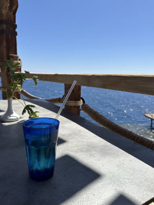 A blue glass with a straw sits on a stone ledge overlooking a sparkling ocean, with rope railings framing the serene coastal view. A perfect "Good morning" scene to match the "Gm" post—sipping something refreshing while taking in the sea breeze. 🌊☀️