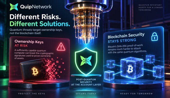A QuipNetwork graphic titled "Different Risks. Different Solutions." explains "QUANTUM RESISTANT ASSETS FOR A LONGER TOMORROW" and highlights post-quantum security for "Ownership Keys AT RISK."