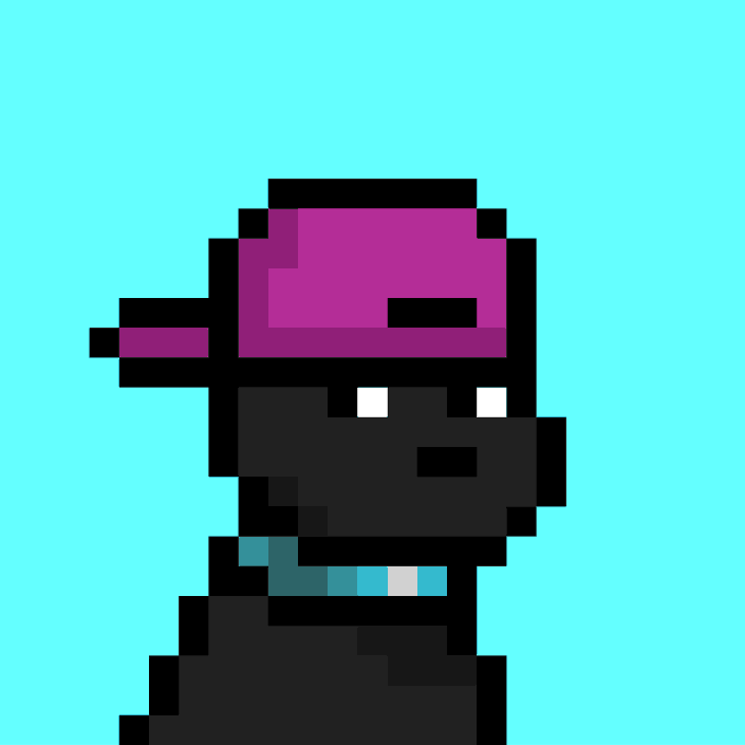 A pixel art image of a black dog wearing a purple backwards cap and a teal collar against a turquoise background, representing Doginal Dog #8935 from the @doginaldogs NFT collection.