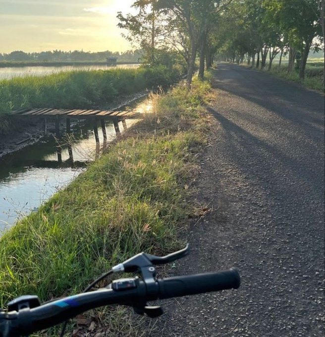 A first-person view from a bicycle handlebar on a rural paved road at sunset, with a small wooden bridge crossing a waterway on the left and trees lining the path.