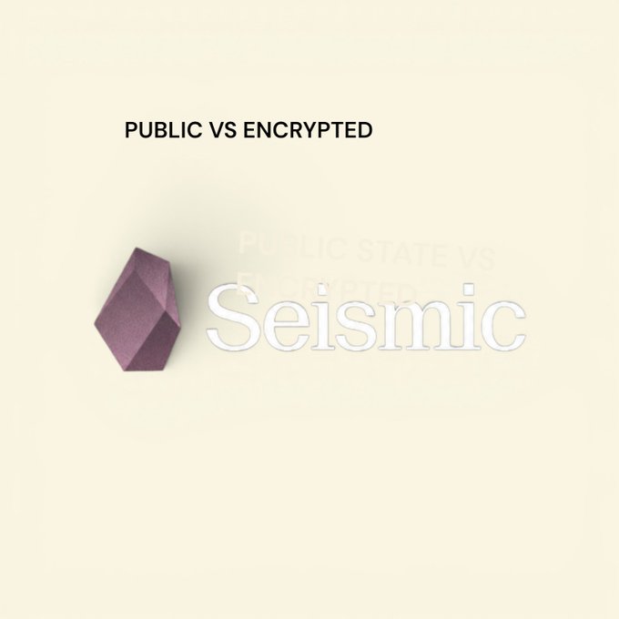 A minimalist beige graphic with the text 'PUBLIC VS ENCRYPTED' at the top, featuring a purple 3D crystal and the embossed word 'Seismic' in the center.
