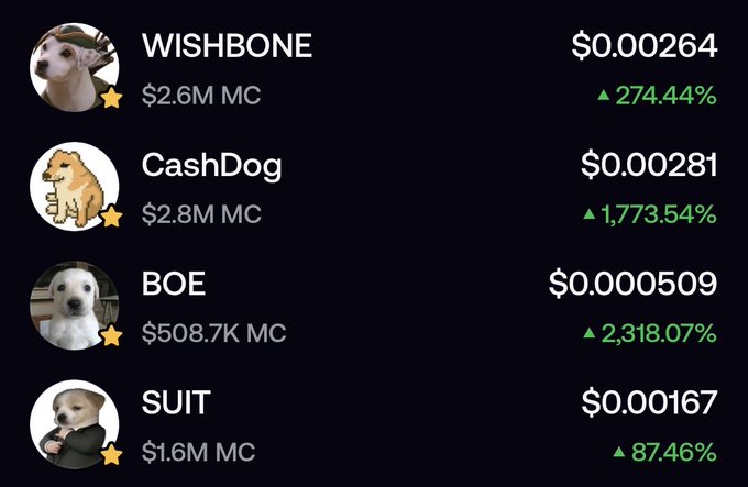 The image displays a cryptocurrency tracker showing dog-themed meme coins with their prices and market caps: WISHBONE ($0.00264, $2.6M MC) up 274.44%, CashDog ($0.00281, $2.8M MC) up 1,773.54%, BOE ($0.000509, $508.7K MC) up 2,318.07%, and SUIT ($0.00167, $1.6M MC) up 87.46%. This illustrates the post's claim that dog coins are surging, with BOE and CashDog seeing massive gains, while highlighting that one of these low-cap dog tokens may still be early compared to the over 200M market cap of $CASHCAT.
