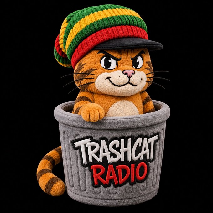 A 3D-rendered cartoon orange tabby cat wearing a Rastafarian-colored beanie and cap, sitting in a gray trash can with 'TRASHCAT RADIO' graffiti-style text.