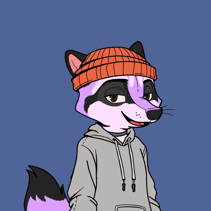 An anthropomorphic raccoon character with a smug expression, wearing an orange beanie and gray hoodie, serves as the mascot for the "Robin Foxes" NFT drop—a free mint of 70 foxes happening today at 3 PM UTC.