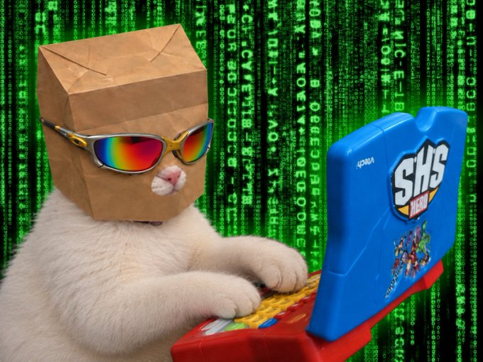 A white cat wearing a brown paper bag on its head and rainbow sunglasses types on a child's VTech laptop against a green Matrix-style falling code background.