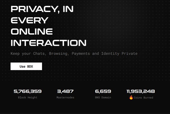 A dark-themed website banner reads 'PRIVACY, IN EVERY ONLINE INTERACTION' with the tagline 'Keep your Chats, Browsing, Payments and Identity Private', featuring a 'Use BDX' button and statistics for Block Height, Masternodes, BNS Domain, and Coins Burned.