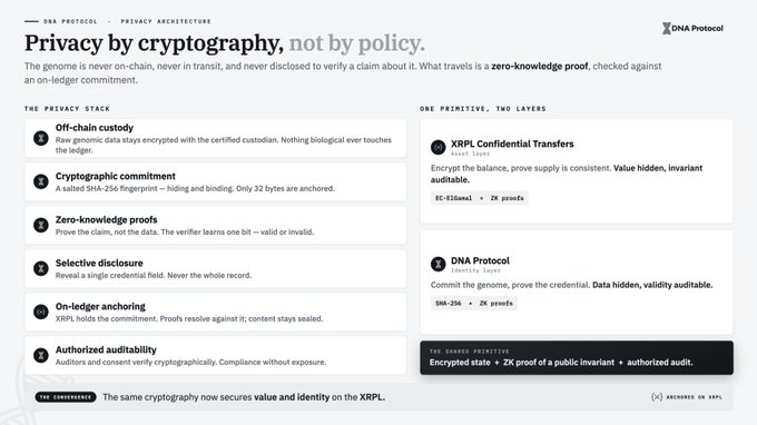 A slide from DNA Protocol titled 'Privacy by cryptography, not by policy' explains their privacy stack, including off-chain custody, zero-knowledge proofs, and on-ledger anchoring, with details on 'XRPL Confidential Transfers'.