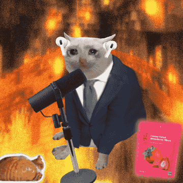 A meme featuring a cat in a suit standing at a microphone against a fiery background, with another cat and a "Going Global with the Mango Bear" card visible.