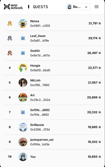 A Quip Network quests leaderboard ranking users by points, with Nessa in 1st place (31,791), Leaf_Swan 2nd (29,174), GodAir 3rd, and 'You' at rank 79 with 10,693 points.