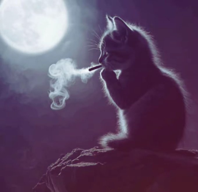 A silhouetted cat sits on a rock beneath a full moon, puffing a cigarette with smoke curling into the night sky. The moody, melancholy scene captures a relatable moment of frustrated reflection—much like saying "fml man" when life feels heavy and you just need to take a long drag and stare at the moon.