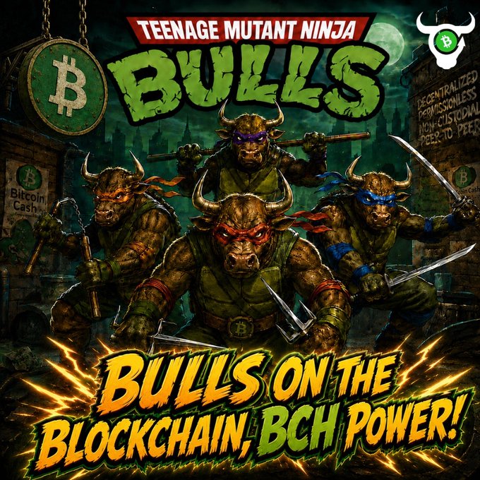 A graphic titled 'Teenage Mutant Ninja Bulls: Bulls on the Blockchain, BCH Power!' featuring four anthropomorphic bull characters holding weapons, surrounded by Bitcoin Cash (BCH) logos.