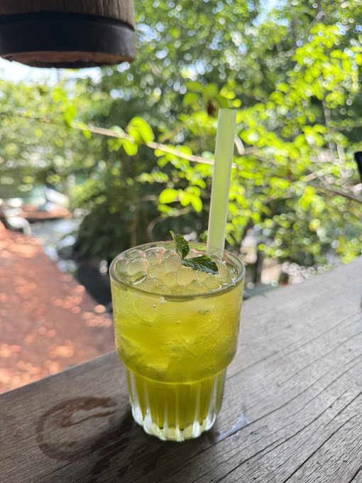 A refreshing yellow-green cocktail with ice, mint leaves, and a glass straw sits on a wooden surface in front of lush green foliage.