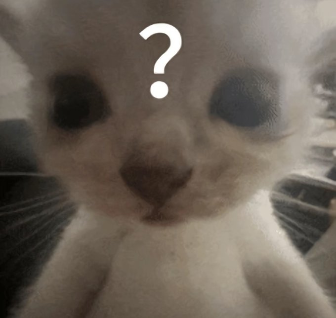 A close-up photo of a curious light-colored kitten with large dark eyes staring at the camera, with a white question mark overlaid on its forehead. The confused kitten's expression humorously mirrors the poster's bewilderment at tallying up numerous small crypto earnings and promotions totaling around 2,700U USDT across various platforms like Binance, OKX, and Pharos.