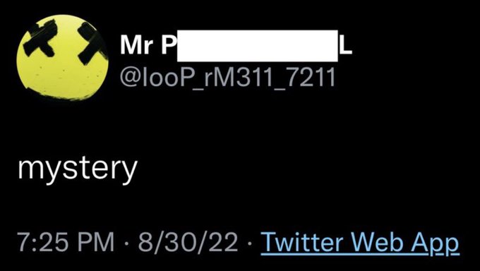 A screenshot of a tweet from user 'Mr P[redacted]L' (@looP_rM311_7211) posted at 7:25 PM on 8/30/22 that simply reads 'mystery'.