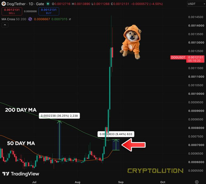 A TradingView chart for the 'DOG/USDT' pair on the Gate exchange shows a steep price surge, annotated with a '200 DAY MA' crossover and a Shiba Inu dog in an astronaut suit.