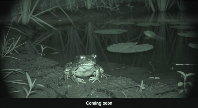 A nighttime infrared shot shows a frog sitting on the edge of a pond with lily pads, with the text "Coming soon" at the bottom, teasing the $FRONG meme token's anticipated rise as the frog mascot for Uniswap's upcoming launchpad.