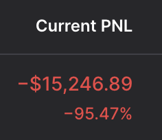 A dark-themed financial dashboard display shows a 'Current PNL' of -$15,246.89, representing a decline of -95.47%.