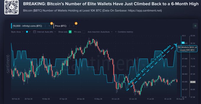 A Santiment chart titled 'BREAKING: Bitcoin's Number of Elite Wallets Have Just Climbed Back to a 6-Month High', showing the number of Bitcoin wallets holding at least 10K BTC reached 90 wallets in the past 8 weeks, displayed on a candlestick price chart.