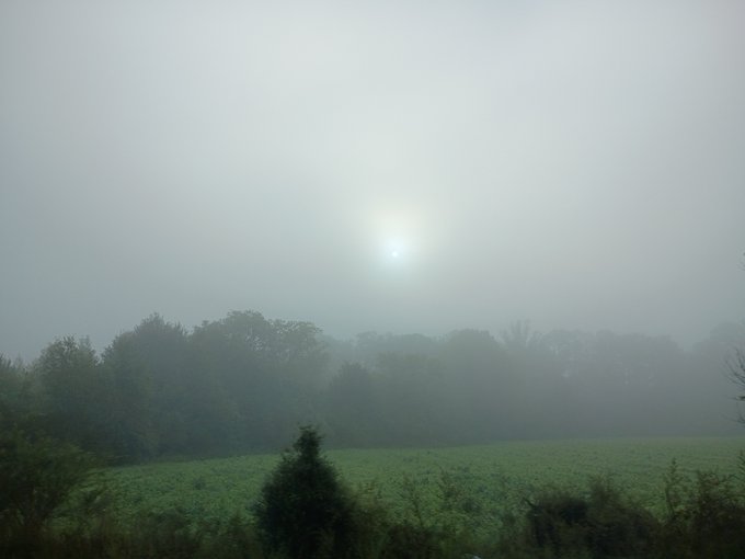 A hazy, foggy landscape shows a field in the foreground with a line of trees partially obscured by mist, and a pale sun glowing in the overcast sky.