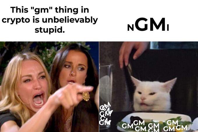 A meme captioned 'This "gm" thing in crypto is unbelievably stupid.' showing a shocked woman pointing alongside a white cat dropping 'GM GM GM' into a bowl.