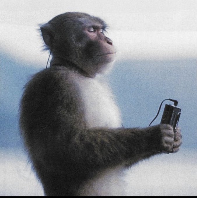 A vintage-style photograph of a macaque monkey in profile view, holding what appears to be a small electronic device or camera with its hand, set against a blurred sky background.