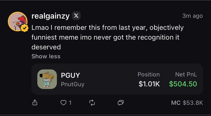 A social media post by 'realgainzy' featuring the 'PGUY' (PnutGuy) token with a net PnL of $504.50.