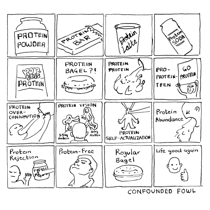 A 16-panel comic titled "CONFOUNDED FOWL" satirizing the modern obsession with protein, showing products like Protein Powder, Protein Bar, Protein Latte, Protein Soda, and a "Protein Bagel?!," progressing through stages including Protein Vision, Protein Self-Actualization, Protein Abundance, Protein Rejection, and ending with "Protein-Free Regular Bagel / Life good again."
