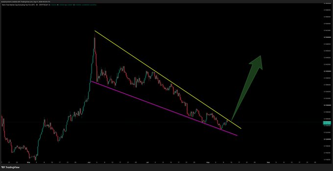 The image displays a candlestick chart of the OTHERS/BTC trading pair from TradingView, featuring a falling wedge pattern marked by yellow and pink descending trendlines, with a large green upward arrow indicating an anticipated bullish breakout. The visible text includes "Others/BTC Perpetual Contract" and the date "Aug 25 '24" at the top, illustrating the falling wedge pattern the post references.