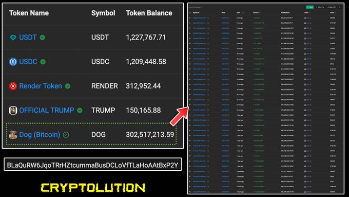 A cryptocurrency portfolio table showing token balances for USDT, USDC, Render Token, OFFICIAL TRUMP, and Dog (Bitcoin) with over 302 million DOG, alongside transaction history and a Bitcoin address, branded 'CRYPTOLUTION'.