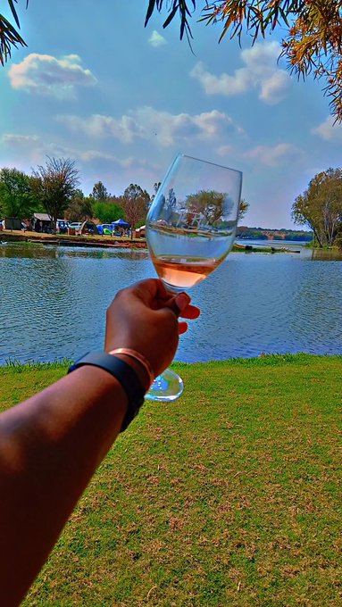 A first-person view of a hand holding a glass of rosé wine by a serene lake, with grass in the foreground, a small village on the far shore, and a blue sky with scattered clouds.