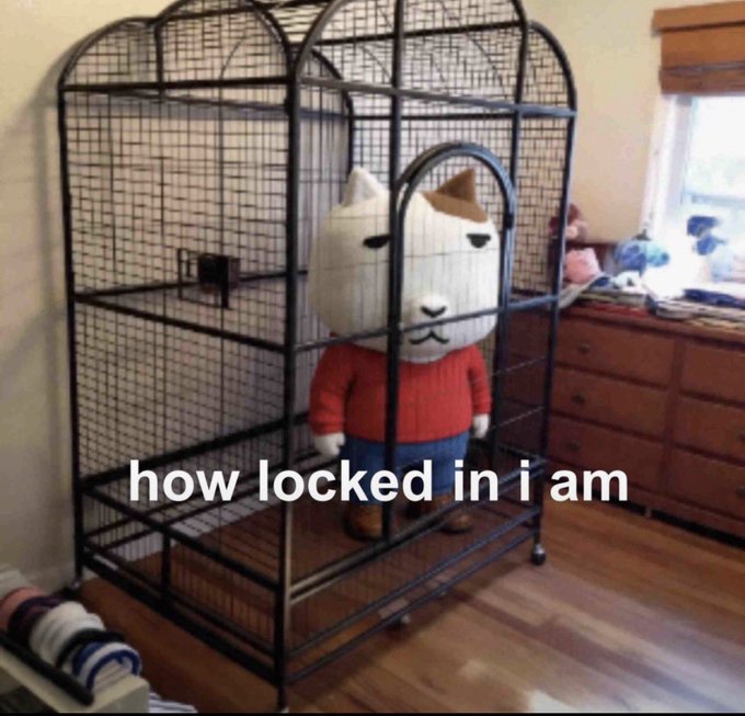 A humorous meme showing a stuffed alpaca toy wearing a red sweater inside a large black wire bird cage, with the caption 'how locked in i am'.
