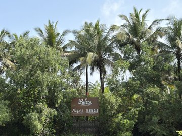 The image shows a sign with the name "Belize" written on it, surrounded by palm trees. There are also other signs visible in the background that read "Nagpur", "Agriculture", and "Agriculture Solutions". The scene appears to be set in a tropical location where the weather is sunny and warm.
