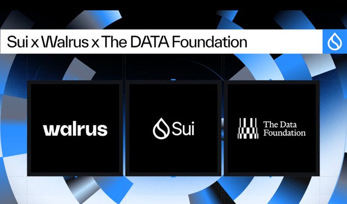 A promotional graphic announcing a collaboration titled 'Sui x Walrus x The DATA Foundation' displaying the logos of the three partner organizations against a blue geometric background.