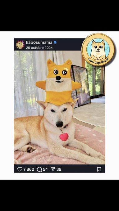An Instagram post screenshot from "kabosumama" showing a Shiba Inu dog wearing an inflatable Shiba Inu hat, with the caption "Shibu Dogs Mascot" and engagement metrics of 7,860 likes, 54 comments, and 39 shares.