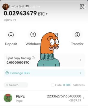 The image shows a crypto wallet displaying a Bitcoin balance of 0.02943479 BTC (~$859.91) alongside 223,362,759.654 Pepe (PEPE) memecoin tokens, featuring a meme illustration of an orange Pepe character. It visually reinforces the poster's warning about only investing "cold hard cash" in memecoins, suggesting that the combination of a small BTC holding plus a massive stack of PEPE memes illustrates the volatile mix of serious crypto and speculative memecoin holdings someone might endure to avoid panic-selling.