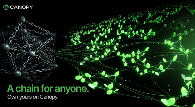A promotional graphic for 'CANOPY' featuring a dark network transforming into glowing green plants and vines, with the tagline 'A chain for anyone. Own yours on Canopy.'