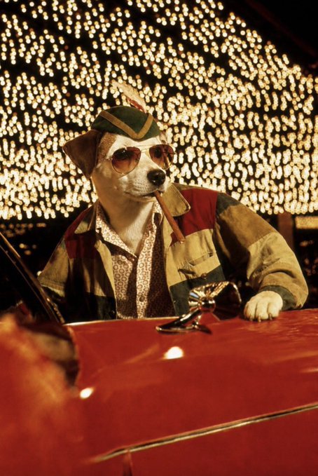A dog in sunglasses and a hat with a cigar in its mouth sits in a red convertible car in front of a backdrop of twinkling string lights, giving off a flashy, confident vibe that mirrors the post's celebration of bold, real-world marketing for $WISHBONE.