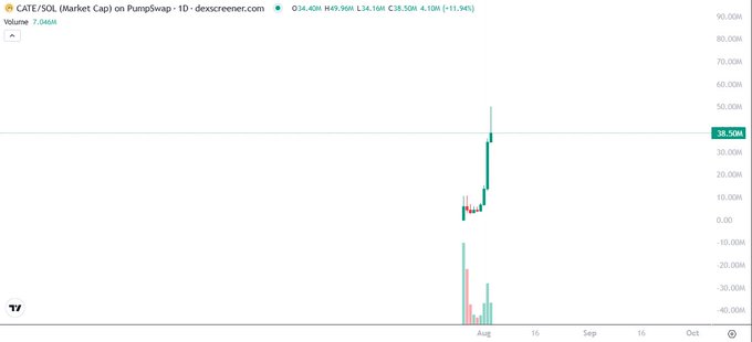 A 1D candlestick chart from Dexscreener displays CATE/SOL Market Cap on Pumpswap, showing a recent sharp rally from around 10,000K to 38,500K (+11.94%) with a market cap of approximately 34.16M and high 24-hour volume near 50,000K, visually reinforcing the post's skepticism about CATE's sudden parabolic move and whether it represents genuine value or speculative hype akin to a "next DOGE" narrative.