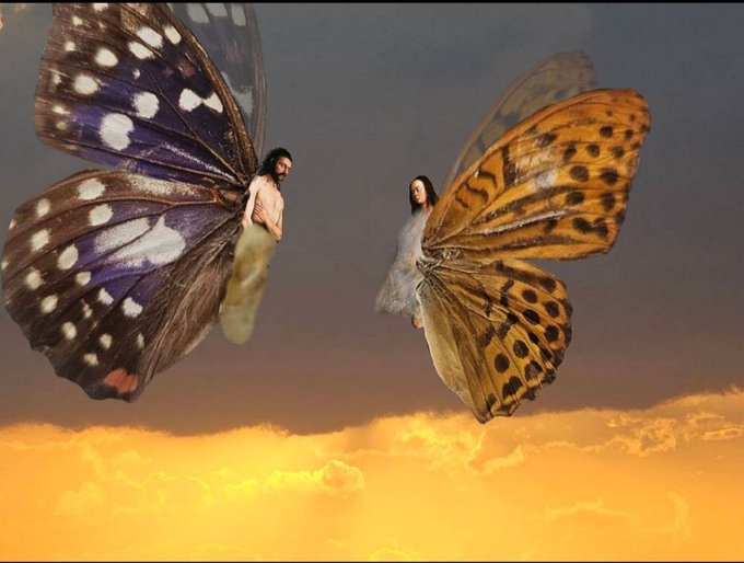 A surreal image showing two people transformed into butterflies with large, colorful wings against a sunset sky.