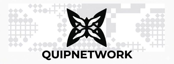 Logo for 'QUIPNETWORK' featuring a stylized black butterfly/moth emblem with four wings over a gray pixelated background.