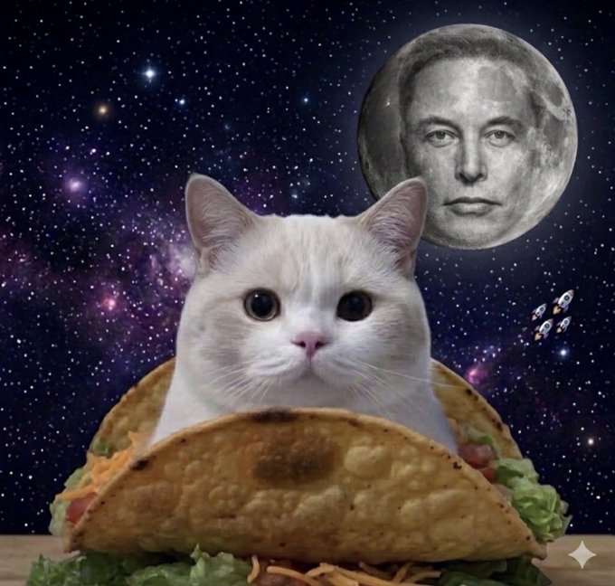 The image features a white cat sitting inside an open taco shell, which appears to be filled with lettuce and other toppings. The background of the photo shows a large moon and several spaceships flying through space. The caption at the bottom of the image reads "Even Elon can't resist the Taco Cat".