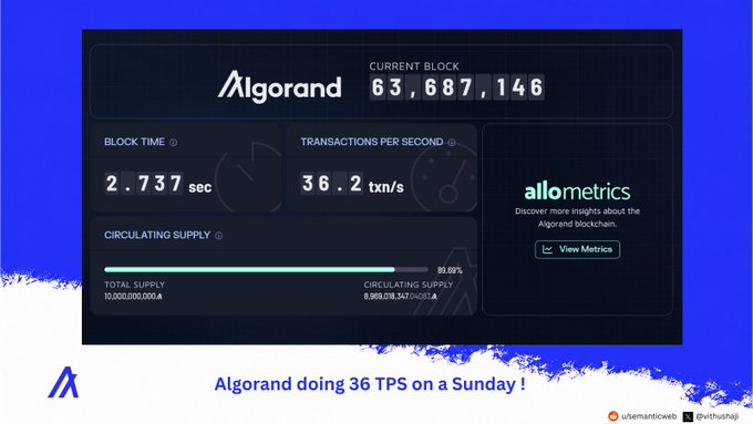 Algorand blockchain dashboard showing block 63,687,146 with 2.737 sec block time, 36.2 txn/s, and 89.03% circulating supply. Caption: 'Algorand doing 36 TPS on a Sunday!'