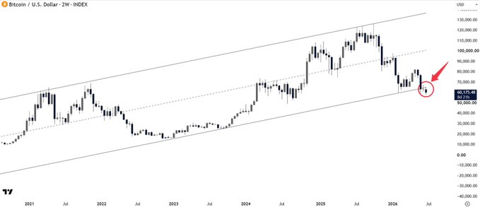 The image shows a 2-week candlestick chart of Bitcoin/U.S. Dollar (BTC/USD) from 2021 to 2026, with an ascending channel pattern highlighted by parallel trendlines and a red arrow/circle pointing to the recent price action near $60,000-$70,000, where BTC appears to have broken below the lower support line of its long-term uptrend.
